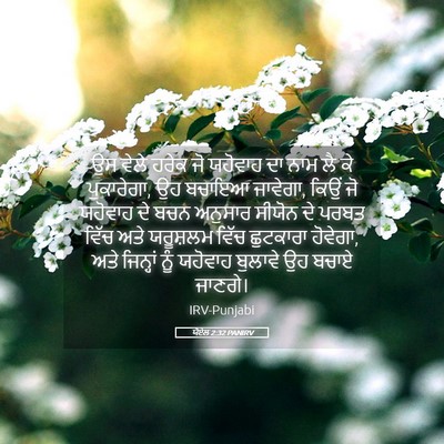 Picture 05 - ਯੋਏਲ 2:32 PANIRV - ਉਸ ਵੇਲੇ ਹਰੇਕ ਜੋ - Bible Verse Picture