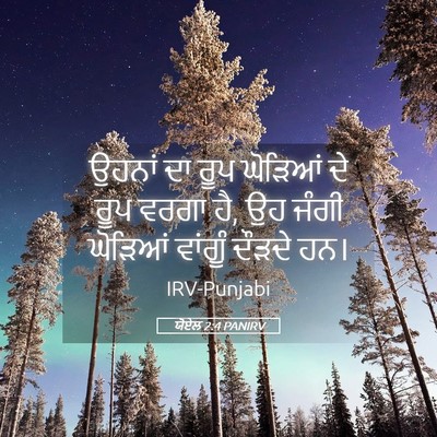 Picture 05 - ਯੋਏਲ 2:4 PANIRV - ਉਹਨਾਂ ਦਾ ਰੂਪ - Bible Verse Picture