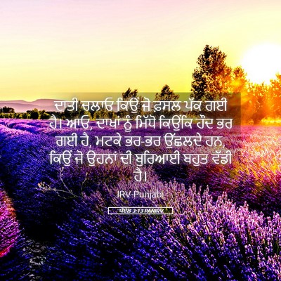 Picture 05 - ਯੋਏਲ 3:13 PANIRV - ਦਾਤੀ ਚਲਾਓ ਕਿਉਂ ਜੋ - Bible Verse Picture