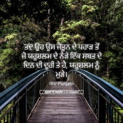 Picture 05 - ਰਸੂਲਾਂ ਦੇ ਕਰਤੱਬ 1:12 PANIRV - ਤਦ ਉਹ ਉਸ ਜੈਤੂਨ ਦੇ - Bible Verse Picture