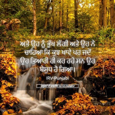 Picture 05 - ਰਸੂਲਾਂ ਦੇ ਕਰਤੱਬ 10:10 PANIRV - ਅਤੇ ਉਹ ਨੂੰ ਭੁੱਖ - Bible Verse Picture