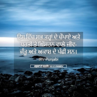 Picture 05 - ਰਸੂਲਾਂ ਦੇ ਕਰਤੱਬ 10:12 PANIRV - ਉਸ ਵਿੱਚ ਸਭ ਤਰ੍ਹਾਂ - Bible Verse Picture