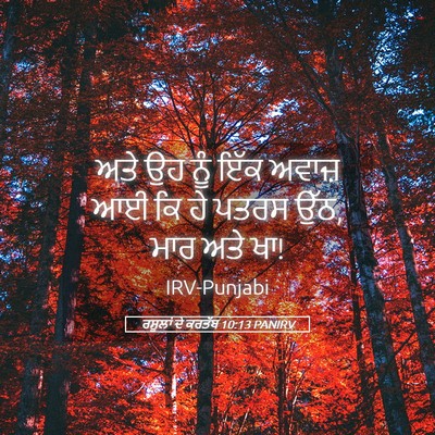 Picture 05 - ਰਸੂਲਾਂ ਦੇ ਕਰਤੱਬ 10:13 PANIRV - ਅਤੇ ਉਹ ਨੂੰ ਇੱਕ - Bible Verse Picture