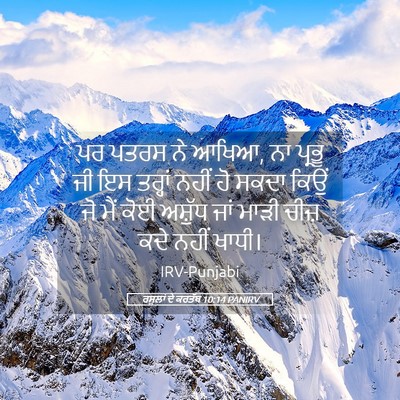 Picture 05 - ਰਸੂਲਾਂ ਦੇ ਕਰਤੱਬ 10:14 PANIRV - ਪਰ ਪਤਰਸ ਨੇ ਆਖਿਆ, ਨਾ - Bible Verse Picture
