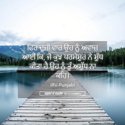 Picture 05 - ਰਸੂਲਾਂ ਦੇ ਕਰਤੱਬ 10:15 PANIRV - ਫਿਰ ਦੂਜੀ ਵਾਰ ਉਹ ਨੂੰ - Bible Verse Picture