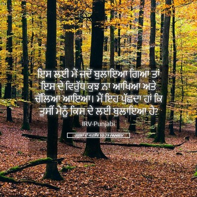 Picture 05 - ਰਸੂਲਾਂ ਦੇ ਕਰਤੱਬ 10:29 PANIRV - ਇਸ ਲਈ ਮੈਂ ਜਦੋਂ - Bible Verse Picture