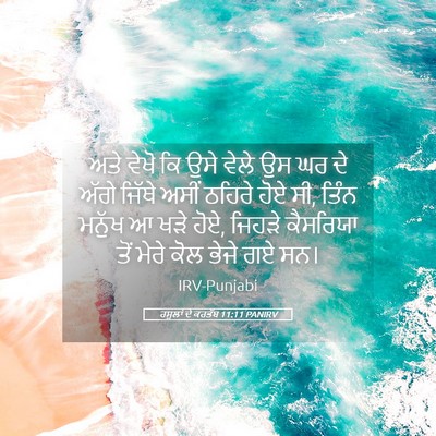 Picture 05 - ਰਸੂਲਾਂ ਦੇ ਕਰਤੱਬ 11:11 PANIRV - ਅਤੇ ਵੇਖੋ ਕਿ ਉਸੇ - Bible Verse Picture