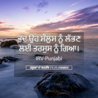Picture 05 - ਰਸੂਲਾਂ ਦੇ ਕਰਤੱਬ 11:25 PANIRV - ਤਦ ਉਹ ਸੌਲੁਸ ਨੂੰ - Bible Verse Picture