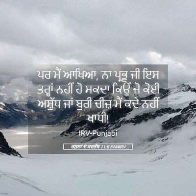 Picture 05 - ਰਸੂਲਾਂ ਦੇ ਕਰਤੱਬ 11:8 PANIRV - ਪਰ ਮੈਂ ਆਖਿਆ, ਨਾ - Bible Verse Picture