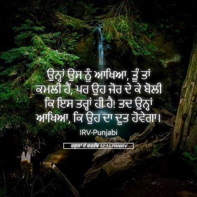 Picture 05 - ਰਸੂਲਾਂ ਦੇ ਕਰਤੱਬ 12:15 PANIRV - ਉਨ੍ਹਾਂ ਉਸ ਨੂੰ ਆਖਿਆ, - Bible Verse Picture