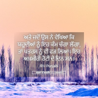 Picture 05 - ਰਸੂਲਾਂ ਦੇ ਕਰਤੱਬ 12:3 PANIRV - ਅਤੇ ਜਦੋਂ ਉਸ ਨੇ - Bible Verse Picture