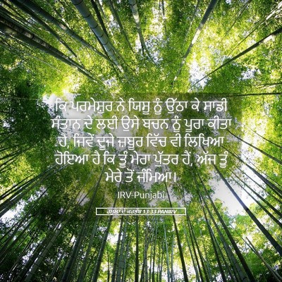Picture 05 - ਰਸੂਲਾਂ ਦੇ ਕਰਤੱਬ 13:33 PANIRV - ਕਿ ਪਰਮੇਸ਼ੁਰ ਨੇ - Bible Verse Picture
