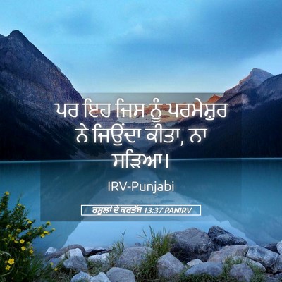 Picture 05 - ਰਸੂਲਾਂ ਦੇ ਕਰਤੱਬ 13:37 PANIRV - ਪਰ ਇਹ ਜਿਸ ਨੂੰ - Bible Verse Picture