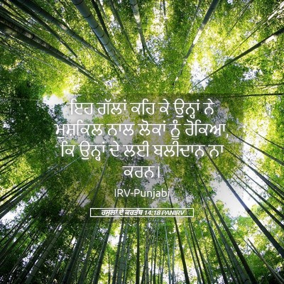 Picture 05 - ਰਸੂਲਾਂ ਦੇ ਕਰਤੱਬ 14:18 PANIRV - ਇਹ ਗੱਲਾਂ ਕਹਿ ਕੇ - Bible Verse Picture