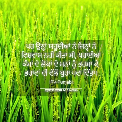 Picture 05 - ਰਸੂਲਾਂ ਦੇ ਕਰਤੱਬ 14:2 PANIRV - ਪਰ ਉਨ੍ਹਾਂ ਯਹੂਦੀਆਂ - Bible Verse Picture