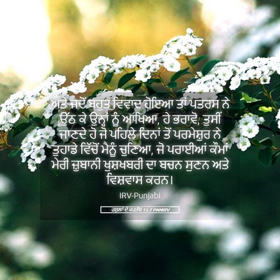 Picture 05 - ਰਸੂਲਾਂ ਦੇ ਕਰਤੱਬ 15:7 PANIRV - ਅਤੇ ਜਦੋਂ ਬਹੁਤ - Bible Verse Picture
