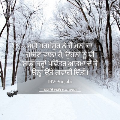 Picture 05 - ਰਸੂਲਾਂ ਦੇ ਕਰਤੱਬ 15:8 PANIRV - ਅਤੇ ਪਰਮੇਸ਼ੁਰ ਨੇ ਜੋ - Bible Verse Picture