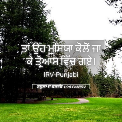 Picture 05 - ਰਸੂਲਾਂ ਦੇ ਕਰਤੱਬ 16:8 PANIRV - ਤਾਂ ਉਹ ਮੁਸਿਯਾ - Bible Verse Picture