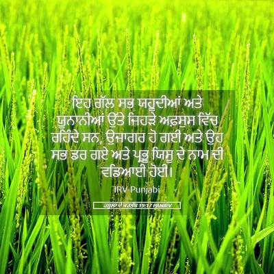 Picture 05 - ਰਸੂਲਾਂ ਦੇ ਕਰਤੱਬ 19:17 PANIRV - ਇਹ ਗੱਲ ਸਭ ਯਹੂਦੀਆਂ - Bible Verse Picture