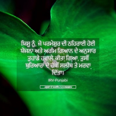 Picture 05 - ਰਸੂਲਾਂ ਦੇ ਕਰਤੱਬ 2:23 PANIRV - ਯਿਸੂ ਨੂੰ, ਜੋ - Bible Verse Picture