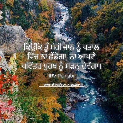 Picture 05 - ਰਸੂਲਾਂ ਦੇ ਕਰਤੱਬ 2:27 PANIRV - ਕਿਉਂਕਿ ਤੂੰ ਮੇਰੀ - Bible Verse Picture