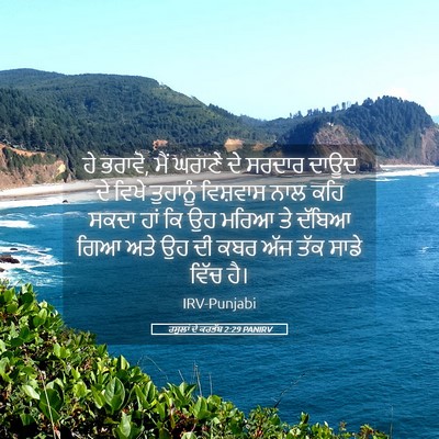 Picture 05 - ਰਸੂਲਾਂ ਦੇ ਕਰਤੱਬ 2:29 PANIRV - ਹੇ ਭਰਾਵੋ, ਮੈਂ ਘਰਾਣੇ - Bible Verse Picture