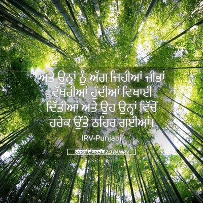 Picture 05 - ਰਸੂਲਾਂ ਦੇ ਕਰਤੱਬ 2:3 PANIRV - ਅਤੇ ਉਨ੍ਹਾਂ ਨੂੰ ਅੱਗ - Bible Verse Picture