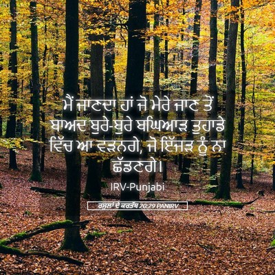 Picture 05 - ਰਸੂਲਾਂ ਦੇ ਕਰਤੱਬ 20:29 PANIRV - ਮੈਂ ਜਾਣਦਾ ਹਾਂ ਜੋ - Bible Verse Picture