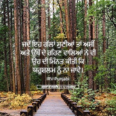 Picture 05 - ਰਸੂਲਾਂ ਦੇ ਕਰਤੱਬ 21:12 PANIRV - ਜਦੋਂ ਇਹ ਗੱਲਾਂ - Bible Verse Picture