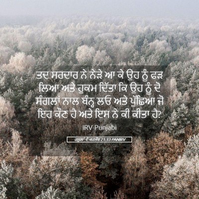 Picture 05 - ਰਸੂਲਾਂ ਦੇ ਕਰਤੱਬ 21:33 PANIRV - ਤਦ ਸਰਦਾਰ ਨੇ ਨੇੜੇ ਆ - Bible Verse Picture