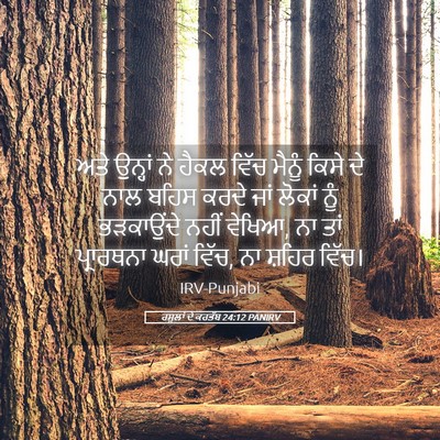 Picture 05 - ਰਸੂਲਾਂ ਦੇ ਕਰਤੱਬ 24:12 PANIRV - ਅਤੇ ਉਨ੍ਹਾਂ ਨੇ ਹੈਕਲ - Bible Verse Picture