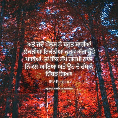 Picture 05 - ਰਸੂਲਾਂ ਦੇ ਕਰਤੱਬ 28:3 PANIRV - ਅਤੇ ਜਦੋਂ ਪੌਲੁਸ ਨੇ - Bible Verse Picture
