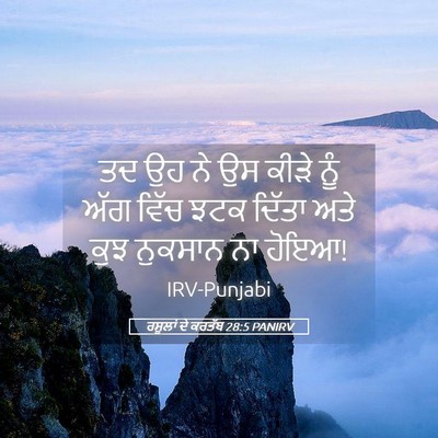 Picture 05 - ਰਸੂਲਾਂ ਦੇ ਕਰਤੱਬ 28:5 PANIRV - ਤਦ ਉਹ ਨੇ ਉਸ ਕੀੜੇ - Bible Verse Picture