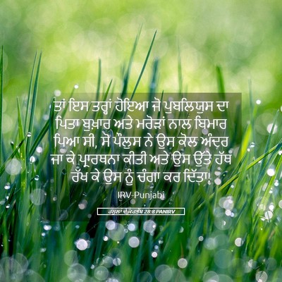Picture 05 - ਰਸੂਲਾਂ ਦੇ ਕਰਤੱਬ 28:8 PANIRV - ਤਾਂ ਇਸ ਤਰ੍ਹਾਂ ਹੋਇਆ - Bible Verse Picture