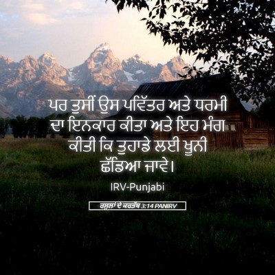 Picture 05 - ਰਸੂਲਾਂ ਦੇ ਕਰਤੱਬ 3:14 PANIRV - ਪਰ ਤੁਸੀਂ ਉਸ ਪਵਿੱਤਰ - Bible Verse Picture