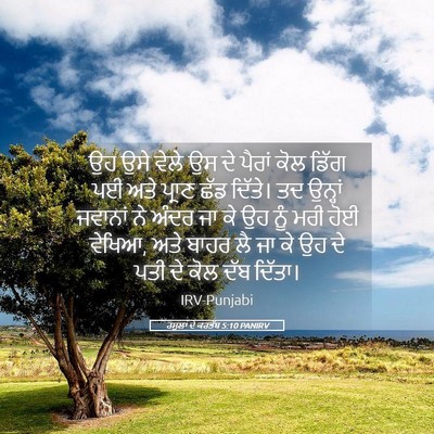 Picture 05 - ਰਸੂਲਾਂ ਦੇ ਕਰਤੱਬ 5:10 PANIRV - ਉਹ ਉਸੇ ਵੇਲੇ ਉਸ ਦੇ - Bible Verse Picture