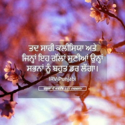 Picture 05 - ਰਸੂਲਾਂ ਦੇ ਕਰਤੱਬ 5:11 PANIRV - ਤਦ ਸਾਰੀ ਕਲੀਸਿਯਾ - Bible Verse Picture
