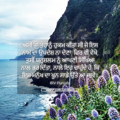 Picture 05 - ਰਸੂਲਾਂ ਦੇ ਕਰਤੱਬ 5:28 PANIRV - ਅਸੀਂ ਤਾਂ ਤੁਹਾਨੂੰ - Bible Verse Picture