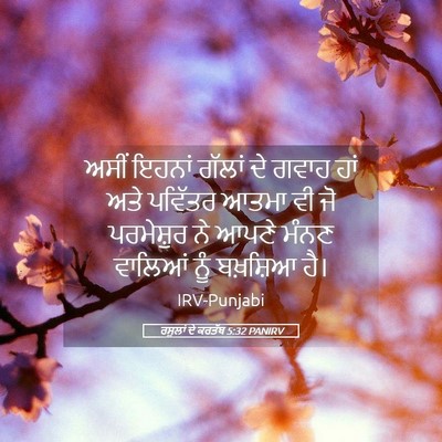 Picture 05 - ਰਸੂਲਾਂ ਦੇ ਕਰਤੱਬ 5:32 PANIRV - ਅਸੀਂ ਇਹਨਾਂ ਗੱਲਾਂ - Bible Verse Picture