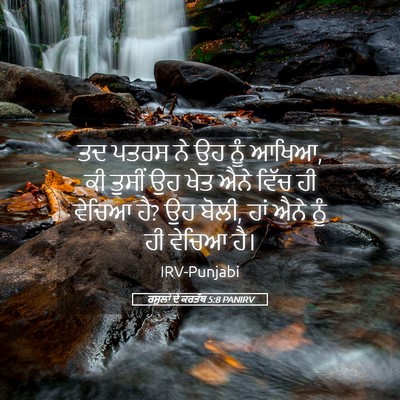 Picture 05 - ਰਸੂਲਾਂ ਦੇ ਕਰਤੱਬ 5:8 PANIRV - ਤਦ ਪਤਰਸ ਨੇ ਉਹ ਨੂੰ - Bible Verse Picture