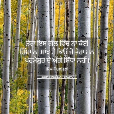 Picture 05 - ਰਸੂਲਾਂ ਦੇ ਕਰਤੱਬ 8:21 PANIRV - ਤੇਰਾ ਇਸ ਗੱਲ ਵਿੱਚ ਨਾ - Bible Verse Picture