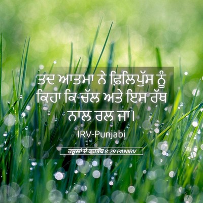 Picture 05 - ਰਸੂਲਾਂ ਦੇ ਕਰਤੱਬ 8:29 PANIRV - ਤਦ ਆਤਮਾ ਨੇ - Bible Verse Picture