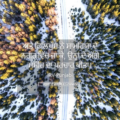 Picture 05 - ਰਸੂਲਾਂ ਦੇ ਕਰਤੱਬ 8:5 PANIRV - ਅਤੇ ਫ਼ਿਲਿਪੁੱਸ ਨੇ - Bible Verse Picture