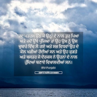Picture 05 - ਰਸੂਲਾਂ ਦੇ ਕਰਤੱਬ 9:39 PANIRV - ਤਦ ਪਤਰਸ ਉੱਠ ਕੇ - Bible Verse Picture