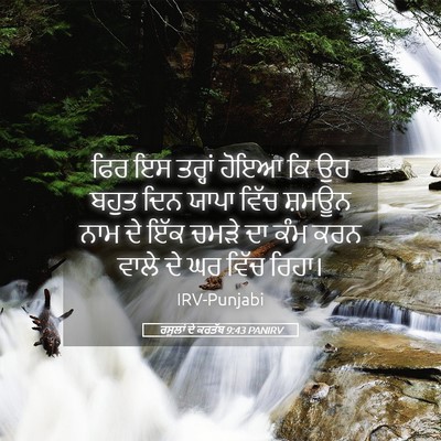 Picture 05 - ਰਸੂਲਾਂ ਦੇ ਕਰਤੱਬ 9:43 PANIRV - ਫਿਰ ਇਸ ਤਰ੍ਹਾਂ ਹੋਇਆ - Bible Verse Picture