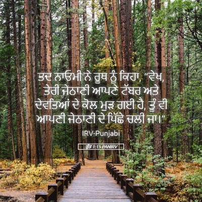 Picture 05 - ਰੁੱਤ 1:15 PANIRV - ਤਦ ਨਾਓਮੀ ਨੇ ਰੂਥ ਨੂੰ - Bible Verse Picture