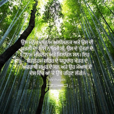 Picture 05 - ਰੁੱਤ 1:2 PANIRV - ਉਸ ਮਨੁੱਖ ਦਾ ਨਾਮ - Bible Verse Picture