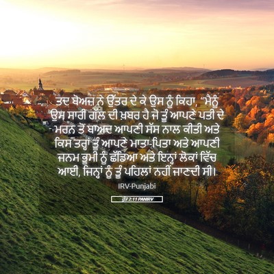 Picture 05 - ਰੁੱਤ 2:11 PANIRV - ਤਦ ਬੋਅਜ਼ ਨੇ ਉੱਤਰ ਦੇ - Bible Verse Picture