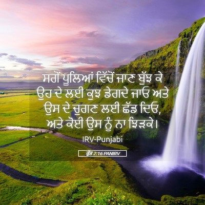 Picture 05 - ਰੁੱਤ 2:16 PANIRV - ਸਗੋਂ ਪੂਲਿਆਂ - Bible Verse Picture