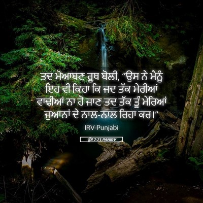 Picture 05 - ਰੁੱਤ 2:21 PANIRV - ਤਦ ਮੋਆਬਣ ਰੂਥ ਬੋਲੀ, - Bible Verse Picture